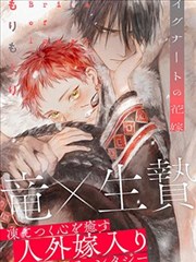 深夜食堂物语 老司机漫画推荐